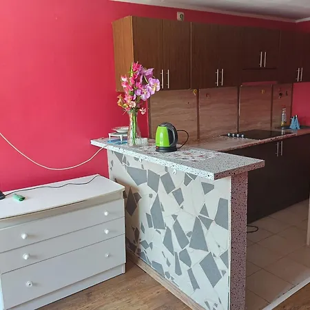 Mieszkanie W Centrum דירה