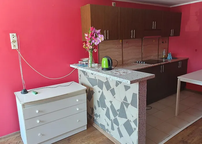 Mieszkanie W Centrum Appartamento